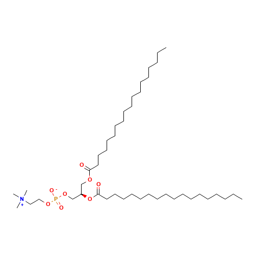 L-ALPHA-PHOSPHATIDYLCHOLINE,DISTEAROYL (CAS: 816-94-4) - Related Chemical Product