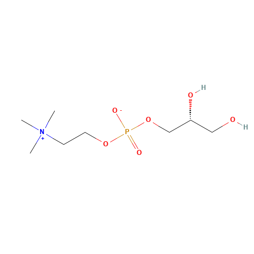 Choline glycerophosphate (CAS: 28319-77-9) - Related Chemical Product
