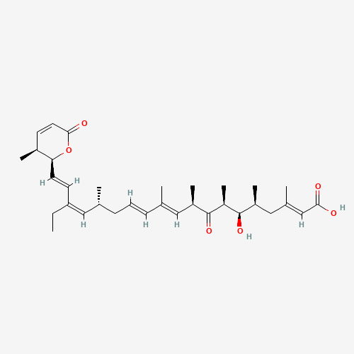 LEPTOMYCIN B FROM STREPTOMYCES SP (CAS: 87081-35-4) - Related Chemical Product