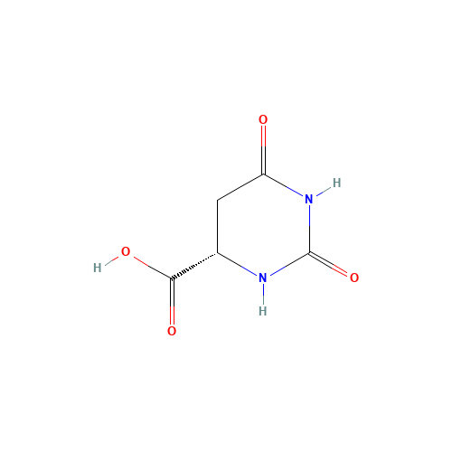 L-DIHYDROOROTIC ACID (CAS: 5988-19-2) - Related Chemical Product