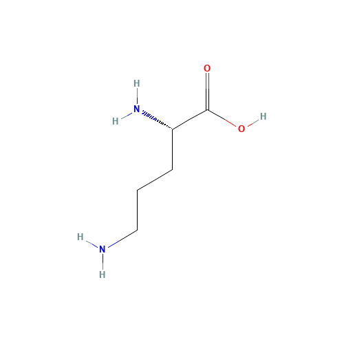 L-Ornithine (CAS: 70-26-8) - Related Chemical Product