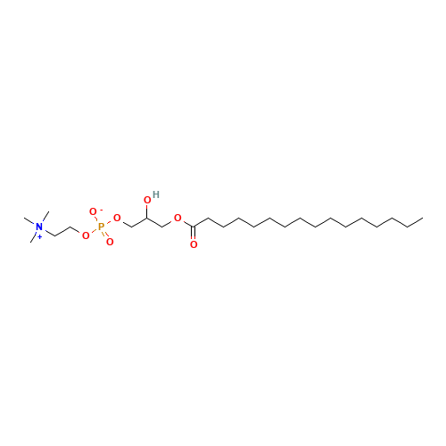1-Palmitoyl-Lysolecithin,Synthetic (CAS: 14863-27-5) - Related Chemical Product
