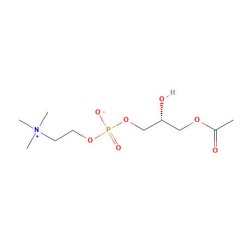 L-ALPHA-LYSOPHOSPHATIDYLCHOLINE (CAS: 9008-30-4) - Related Chemical Product