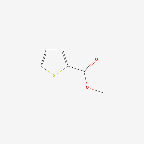 METHYL THIOPHENE-2-CARBOXYLATE (CAS: 5380-42-7) - Related Chemical Product