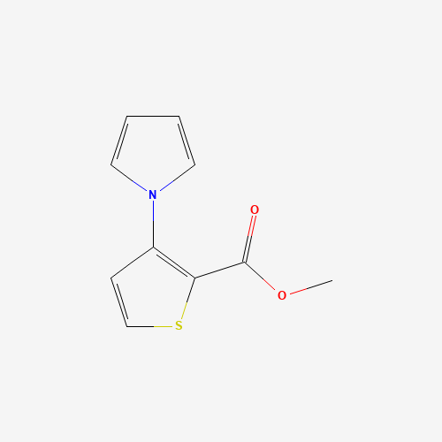 METHYL 3-(1-PYRROLO)THIOPHENE-2-CARBOXYLATE (CAS: 74772-16-0) - Related Chemical Product