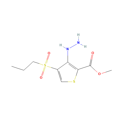 METHYL 3-HYDRAZINO-4-(PROPYLSULFONYL)THIOPHENE-2-CARBOXYLATE (CAS: 175202-01-4) - Chemical Structure and Molecular Formula 
