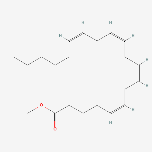 METHYL ARACHIDONATE (CAS: 2566-89-4) - Related Chemical Product