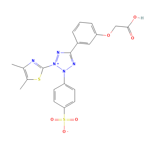 METHYL CELLULOSUM (CAS: 138169-43-4) - Related Chemical Product
