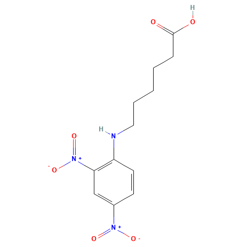 N-(2,4-DINITROPHENYL)-6-AMINOHEXANOIC ACID (CAS: 10466-72-5) - Related Chemical Product