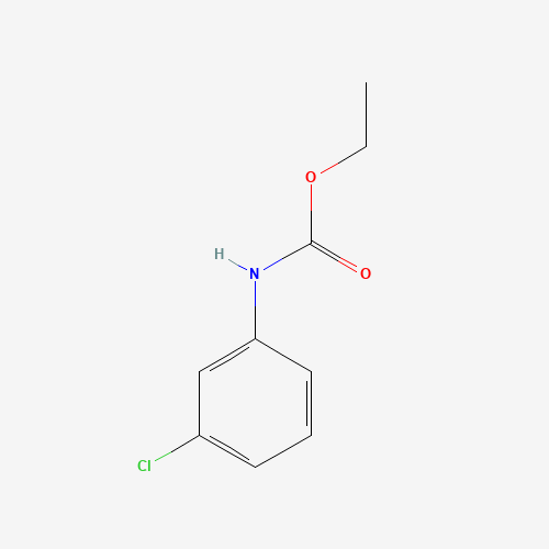 N-(3-CHLOROPHENYL)URETHANE (CAS: 2150-89-2) - Related Chemical Product