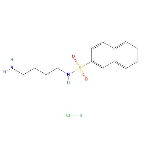 N-(4-AMINOBUTYL)-2-NAPHTHALENESULFONAMIDE HYDROCHLORIDE (CAS: 89108-46-3) - Related Chemical Product