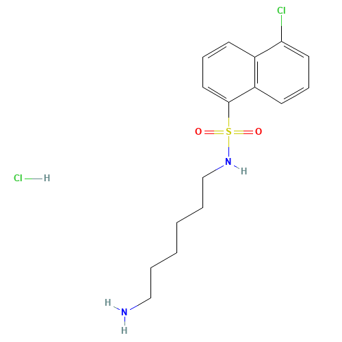 W-7 HYDROCHLORIDE (CAS: 61714-27-0) - Related Chemical Product