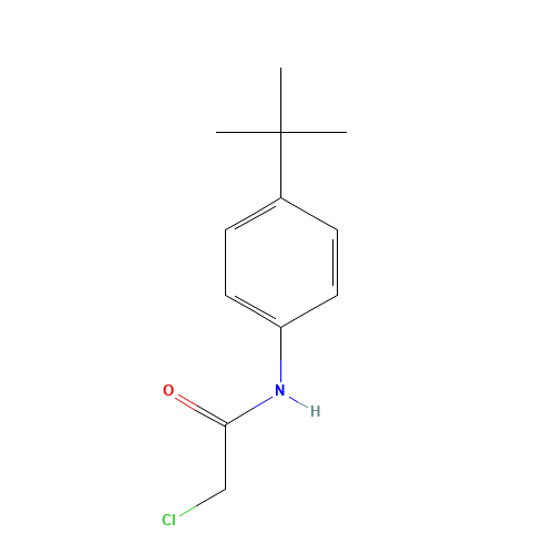 N1-[4-(TERT-BUTYL)PHENYL]-2-CHLOROACETAMIDE (CAS: 20330-46-5) - Related Chemical Product