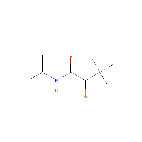 N1-ISOPROPYL-2-BROMO-3,3-DIMETHYLBUTANAMIDE (CAS: 69959-83-7) - Related Chemical Product