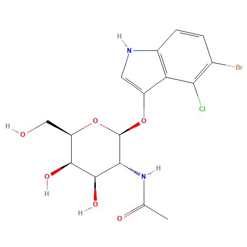 5-Bromo-4-chloro-3-indolyl-N-acetyl-beta-D-galactosaminide (CAS: 129572-48-1) - Related Chemical Product