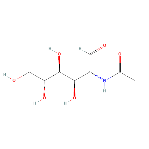 2-Acetamido-2-deoxy-D-glucose (CAS: 7512-17-6) - Related Chemical Product