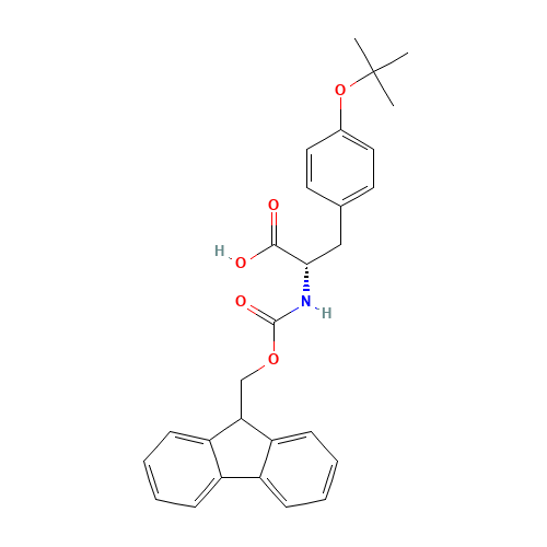 Fmoc-O-tert-butyl-L-tyrosine (CAS: 71989-38-3) - Related Chemical Product