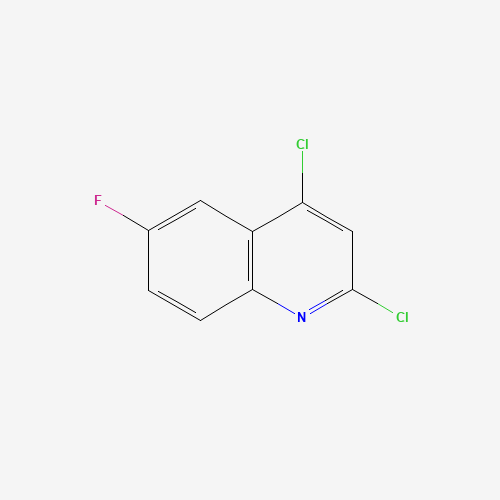 2,4-Dichloro-6-fluoroquinoline (CAS: 406204-74-8) - Related Chemical Product