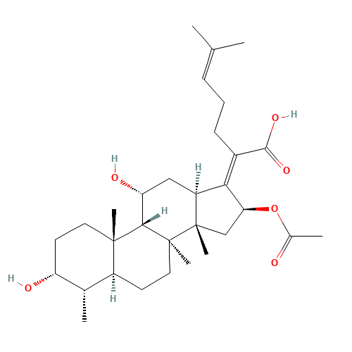 Fusidine (CAS: 6990-06-3) - Related Chemical Product