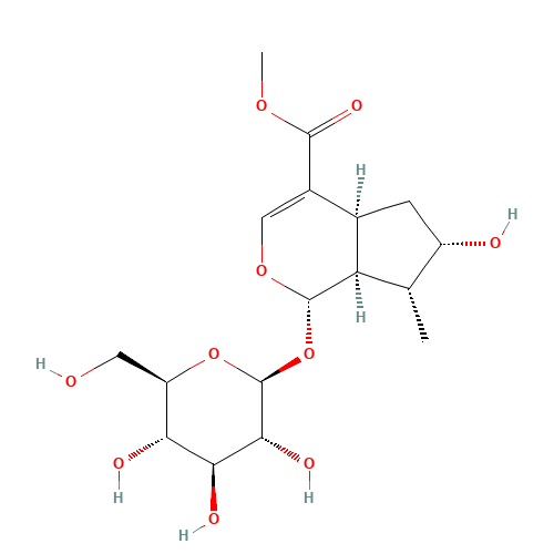 Loganin (CAS: 18524-94-2) - Related Chemical Product