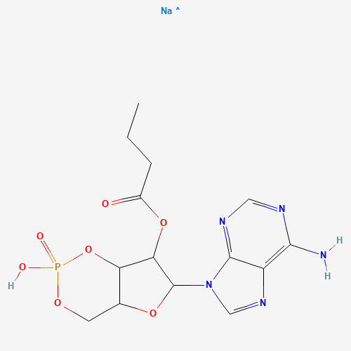 2'-O-MB-CAMP SODIUM SALT (CAS: 55443-13-5) - Related Chemical Product