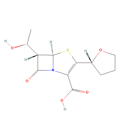Faropenem sodium hemipentahydrate (CAS: 106560-14-9) - Related Chemical Product