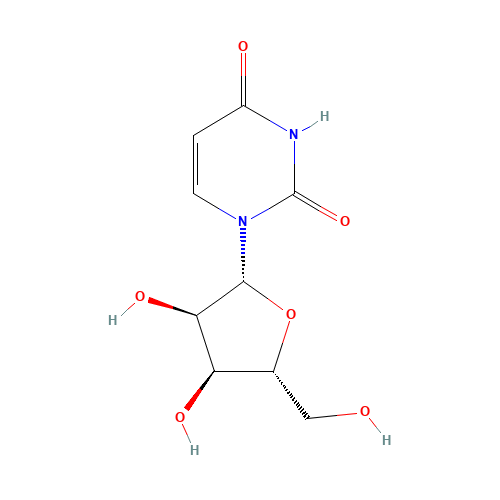 Uridine (CAS: 58-96-8) - Related Chemical Product