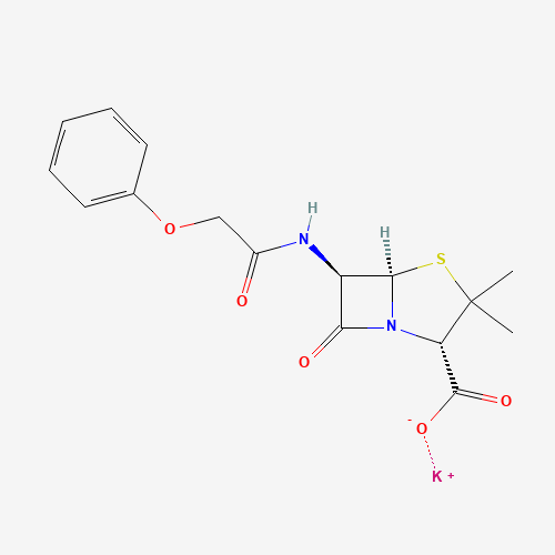 Penicillin V potassium salt (CAS: 132-98-9) - Related Chemical Product