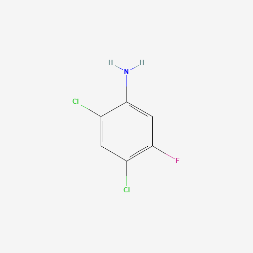 2,4-DICHLORO-5-FLUOROANILINE (CAS: 348-64-1) - Related Chemical Product