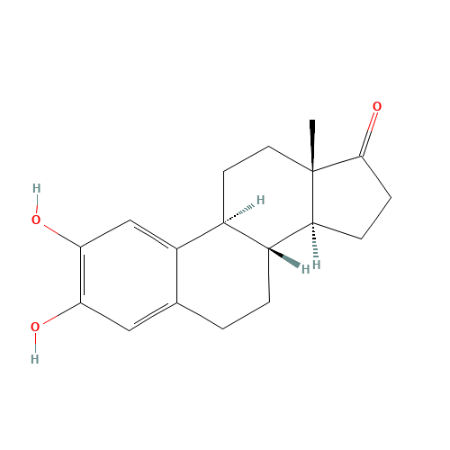 2-HYDROXYESTRONE (CAS: 362-06-1) - Related Chemical Product