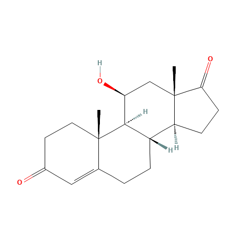 4-ANDROSTEN-11BETA-OL-3,17-DIONE (CAS: 382-44-5) - Related Chemical Product