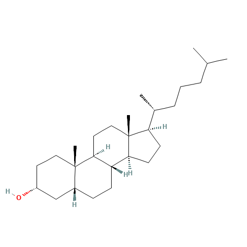 5BETA-CHOLESTAN-3ALPHA-OL (CAS: 516-92-7) - Related Chemical Product