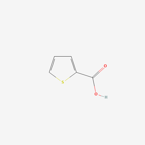 2-Thiophenecarboxylic acid (CAS: 527-72-0) - Related Chemical Product