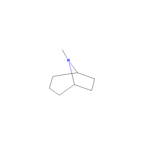 8-METHYL-8-AZABICYCLO[3.2.1]OCTANE (CAS: 529-17-9) - Related Chemical Product