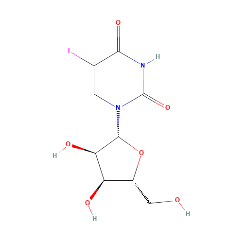 5-IODOURIDINE (CAS: 1024-99-3) - Related Chemical Product