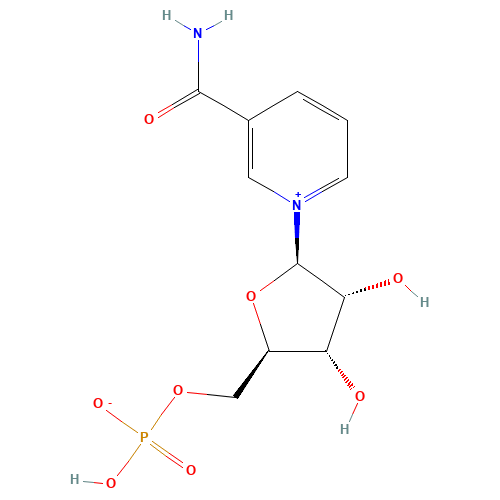 BETA-NICOTINAMIDE MONONUCLEOTIDE (CAS: 1094-61-7) - Related Chemical Product