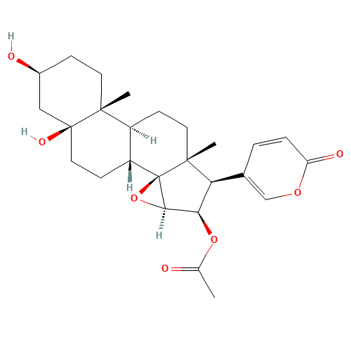 Cinobufotalin (CAS: 1108-68-5) - Related Chemical Product