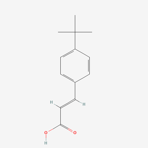 4-(TERT-BUTYL)CINNAMIC ACID (CAS: 1208-65-7) - Related Chemical Product