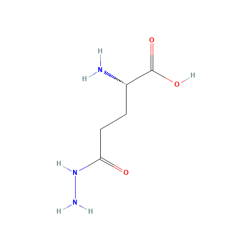 L-GLUTAMIC ACID GAMMA-HYDRAZIDE (CAS: 1820-73-1) - Related Chemical Product