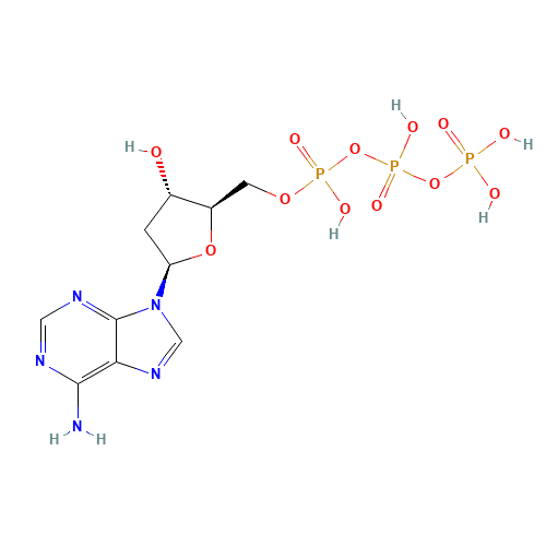 2'-Deoxyadenosine 5'-triphosphate (CAS: 1927-31-7) - Related Chemical Product
