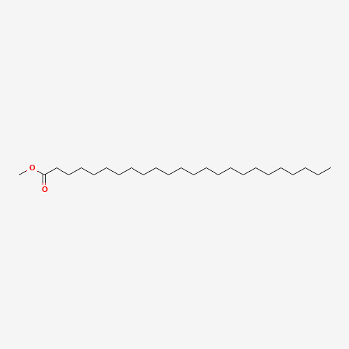 LIGNOCERIC ACID METHYL ESTER (CAS: 2442-49-1) - Related Chemical Product
