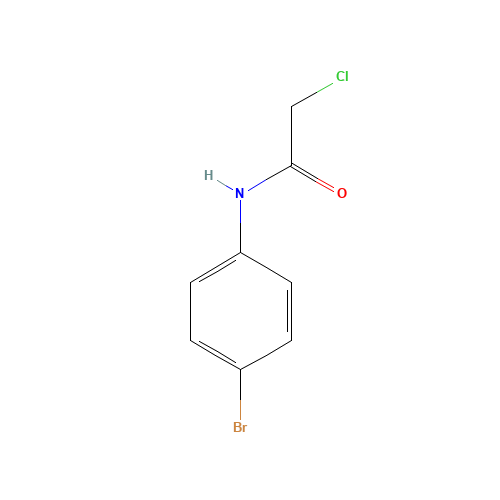 N-(4-BROMOPHENYL)-2-CHLOROACETAMIDE (CAS: 2564-02-5) - Related Chemical Product