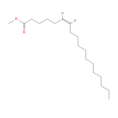 PETROSELINIC ACID METHYL ESTER (CAS: 2777-58-4) - Related Chemical Product