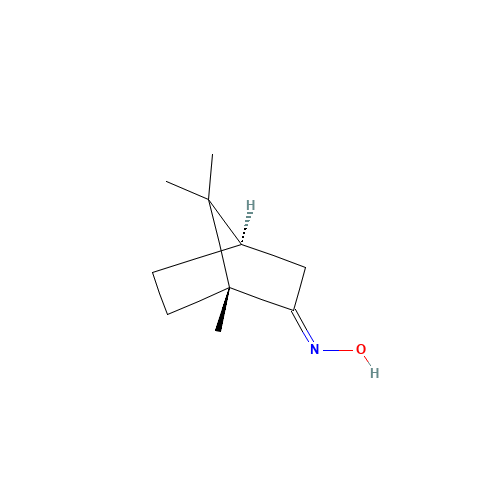 (1R)-CAMPHOR OXIME (CAS: 2792-42-9) - Related Chemical Product