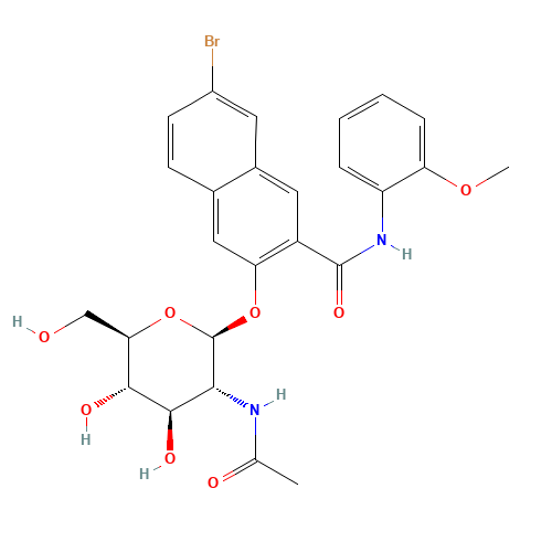 NAPHTHOL AS-BI N-ACETYL-BETA-D-GLUCOSAMINIDE (CAS: 3395-37-7) - Related Chemical Product