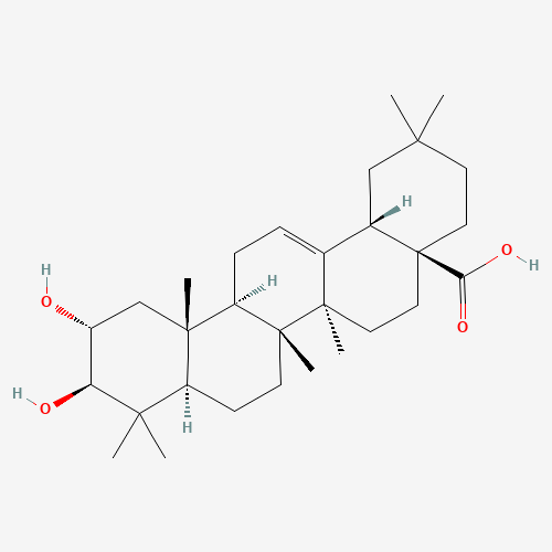 Maslinic acid (CAS: 4373-41-5) - Related Chemical Product