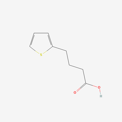 4-(2-THIENYL)BUTYRIC ACID (CAS: 4653-11-6) - Related Chemical Product