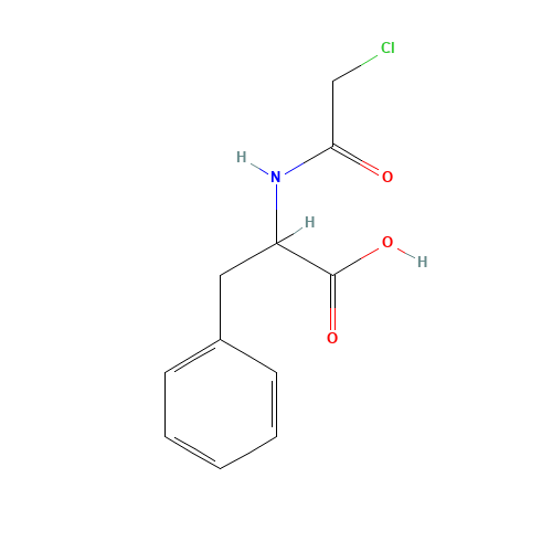 CHLOROACETYL-DL-PHENYLALANINE (CAS: 7765-11-9) - Related Chemical Product