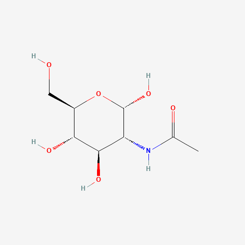 N-ACETYL-ALPHA-D-GLUCOSAMINE (CAS: 10036-64-3) - Related Chemical Product