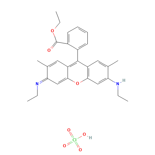 RHODAMINE 6G PERCHLORATE (CAS: 13161-28-9) - Related Chemical Product